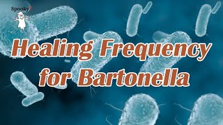 Healing Frequency for Bartonella  Spooky2 Rife Frequencies [upl. by Aistek]