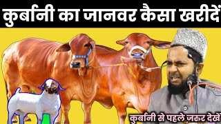 Qurbani Ka Janwar Kaisa Khareedna Chahiye Explain By Maulana Jarjis Ansari Takrir [upl. by Yecnahc92]