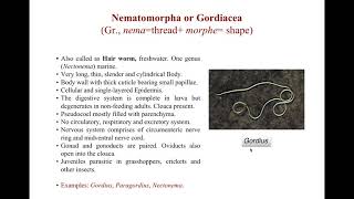 Aschelminthes Classification BSc I Paper I Invertebrates in English [upl. by Aleka950]