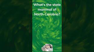 North Carolina State Animal [upl. by Araik]