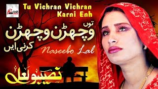 Tu Vichran Vichran Karni  Best of Naseebo Lal  HITECH MUSIC [upl. by Kaiulani]