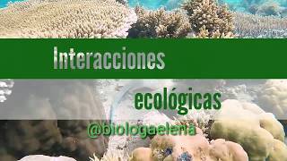 Interacciones biológicas  ecológicas [upl. by Nillok]