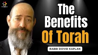 The Benefit of Torah  Parshat Bechukotai  Rabbi Dovid Kaplan on the Weekly Torah Portion [upl. by Goldberg]