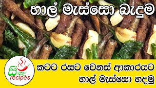 ✔ Crispy Sprats Haal Masso  හාල් මැස්සෝ බැදුම වෙනස්ම රසකට [upl. by Carr]