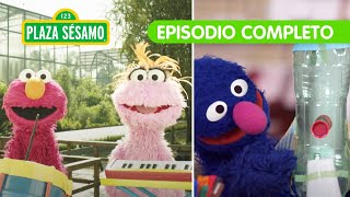 Plaza Sésamo ¿Conoces a la gran orquesta de Elmo 🤭👀  Episodio completo [upl. by Ardenia78]