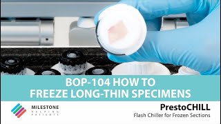 PrestoCHILL  BOP104  How to freeze long thin specimens [upl. by Adim]