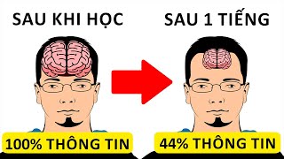 11 Bí Quyết Để Nhớ Mọi Thứ Nhanh Hơn Người Khác [upl. by Dara]