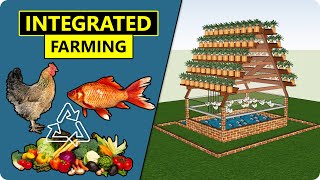 Integrated Chicken Plant and Fish Farming ICPF  Combination of Vertical Farming amp Aquaponics [upl. by Pool4]