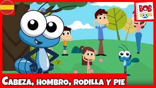 Bob Zoom  Cabeza Hombro Rodilla y Pie  Video Canción Infantil Oficial Español [upl. by Hole493]