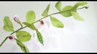 DIY Paper Pisum sativumGarden Pea from crepe paper Garden Pea de papel crepé [upl. by Ahsinawt298]