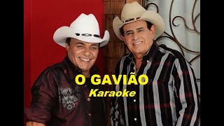 Gino amp Geno  O Gavião Karaoke [upl. by Hermia]