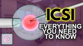 IVF ICSI Procedure  Important things you need to know [upl. by Danyluk]