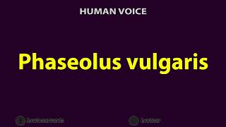 How To Pronounce Phaseolus vulgaris [upl. by Edora]