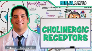 Neurology  Cholinergic Receptors [upl. by Aznerol]