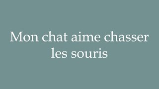 How to Pronounce Mon chat aime chasser les souris My cat likes to chase mice in French [upl. by Danica]