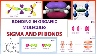 sigma and pi bonds [upl. by Ingamar]