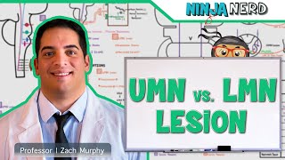 Neurology  Upper Motor Neuron vs Lower Motor Neuron Lesion  UMN vs LMN Lesion [upl. by Onihc932]