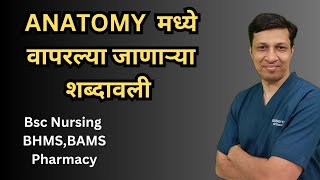 Anatomy मध्ये वापरल्या जाणाऱ्या शब्दावली Anatomical terminology in Marathi [upl. by Gerge668]