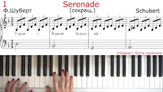 SERENADE SCHUBERT easy СЕРЕНАДА ШУБЕРТ ЛЕГКАЯ ВЕРСИЯ НА ПИАНИНО PIANO Очень красивая мелодия Simple [upl. by Lawson892]