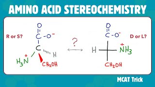 Amino Acid Stereochemistry  R amp S vs D amp L [upl. by Anirrak]