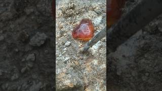 Natural Gem Digging Discover How to Find Precious Stones crystals gemstoneadventures shorts [upl. by Dever207]