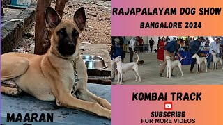 Rajapalayam Dog show  Bangalore Dog Show 2024 [upl. by Nnahoj]