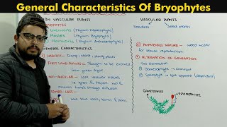 Bryophytes Plants Introduction Chapter Diversity Among Plants [upl. by Novaelc]