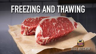 Freezing and Thawing Beef 101  HowTo Tips from a Chef [upl. by Lodmilla]