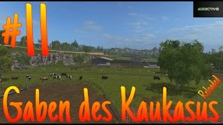 LP11 Gaben des Kaukasus LS17 Tiere versorgen und Futtermischer kaufen [upl. by Gainer811]