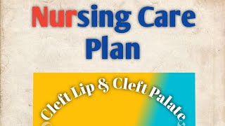 Nursing care plan NCP on Cleft lip and Cleft palate [upl. by Bridie]