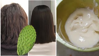 CABELLO SANO Y BRILLANTE CON ESTA MASCARILLA De Nopal  CUIDA TU CABELLO DESDE CASA [upl. by Calhoun]