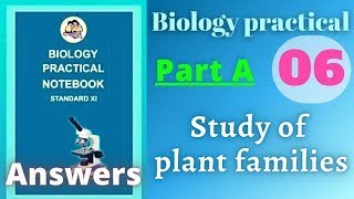 Study of plant families biology practical class 11 experiment 6 part a answers [upl. by Oidiple]