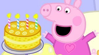 Peppa Pig in Hindi  Mera Janamdin ki Party  हिंदी Kahaniya  Hindi Cartoons for Kids [upl. by Eanert]