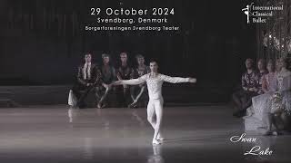 Swan Lake  Svendborg  29 October 2024 [upl. by Glorianna]