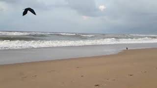 Sea Beach  Beaches  Dangerous Sea Wave  Indian Sea Ocean  Big Waves in Sea [upl. by Enyad509]