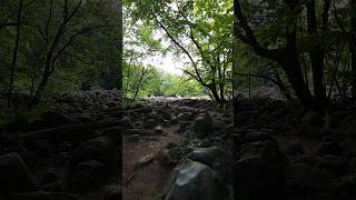 PA Rocks That Ring Like Bells  Ringing Rocks County Park Pennsylvania [upl. by Damara]