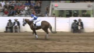 2010 Freestyle Reining Winner [upl. by Anirdnajela]