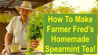 How To Make Farmer Freds HOMEMADE Spearmint Tea [upl. by Nadean]