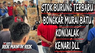 STOK BURUNG TERBARU BONGKAR MURAI BATU  KONIN  JALAK  KENARI DLL [upl. by Halvaard499]