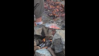 Wild Camping Survival Hacks to Thrive Off the Grid ⛺️🌲🔥 [upl. by Niamreg]