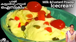 Milk IcecreamCustard IcecreamPaalIcecream At HomeHow To Make Easy Icecream [upl. by Leuqram486]