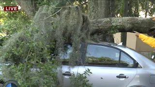 Tree falls on car at Jacksonville apartment complex during Helene [upl. by Enneire]