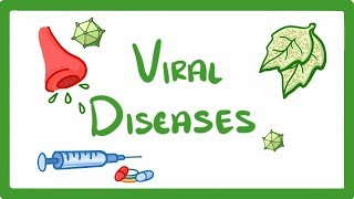 GCSE Biology  What Is a Virus  Examples of Viral Disease HIV Measles amp TMV 36 [upl. by Chisholm]