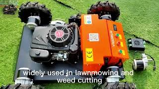 600mm cutting width brushless walking motor adjustable blade height by remote control slope mower [upl. by Soma]