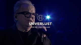 Herbert Grönemeyer – Urverlust Live jokoundklaas [upl. by Bruyn]