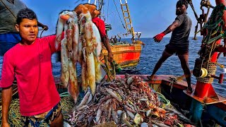 Amazing🤩 we caught lot of squid amp Mackerel fishes in Deep sea  Day 3 [upl. by Bezanson]