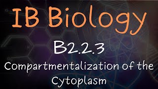 Compartmentalization of the Cytoplasm  B223 [upl. by Kier]