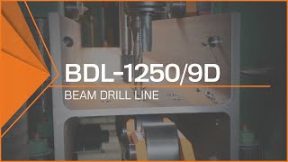 BDL12509D Beam Drill Line Heavy Duty Steel Beam Processing [upl. by Kanter]