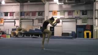 Elena Shinohara Rhythmic Gymnastics Demo Routine for 2014 Ultimate Gymnastics 初心者新体操ボールデモ [upl. by Dustman]