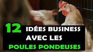 POULES PONDEUSES Voici 12 idées de business intéressantes à lancer dans laviculture en Afrique [upl. by Landbert]